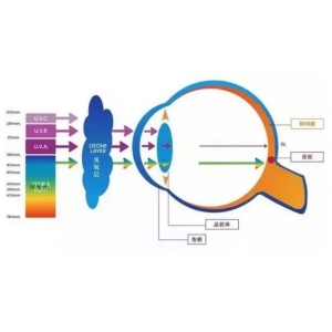 眼睛也要防晒？这是真的吗？