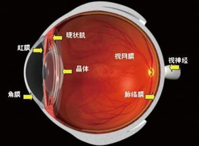 角膜炎病因及症状